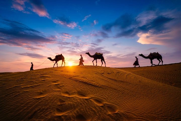 Evening Desert Safari tour